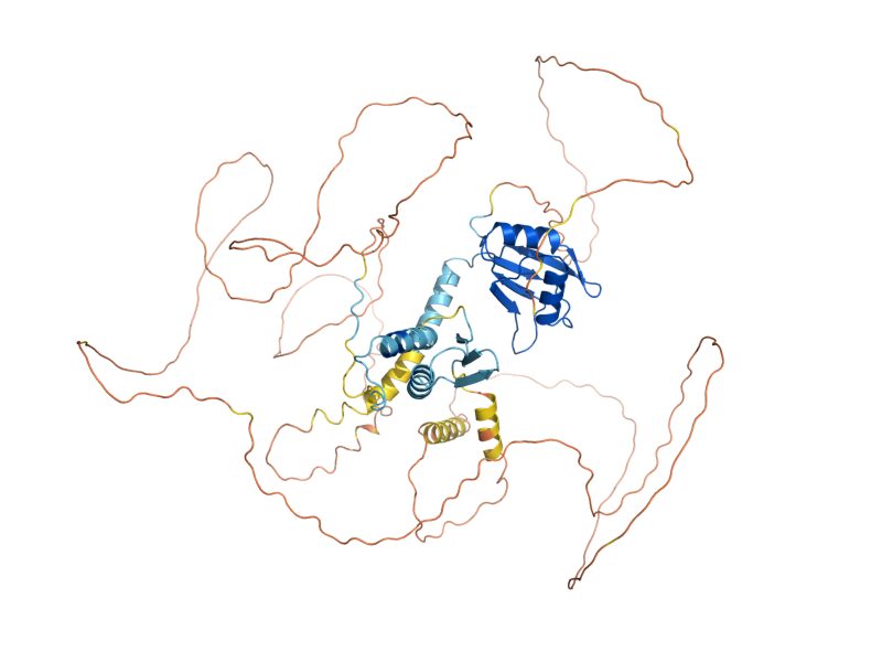 AlphaFold predicted structure of PIN4