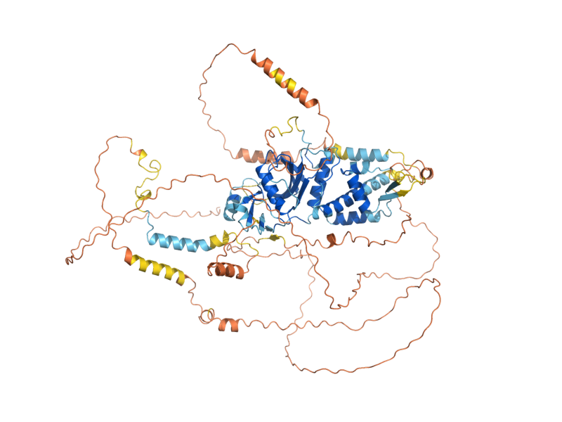 AlphaFold predicted structure of SAS3