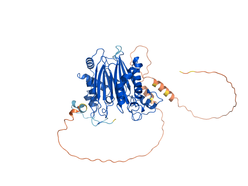 AlphaFold predicted structure of PTC3