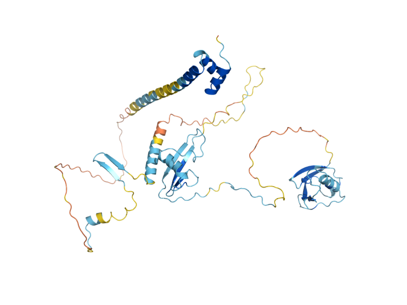 AlphaFold predicted structure of SHP1