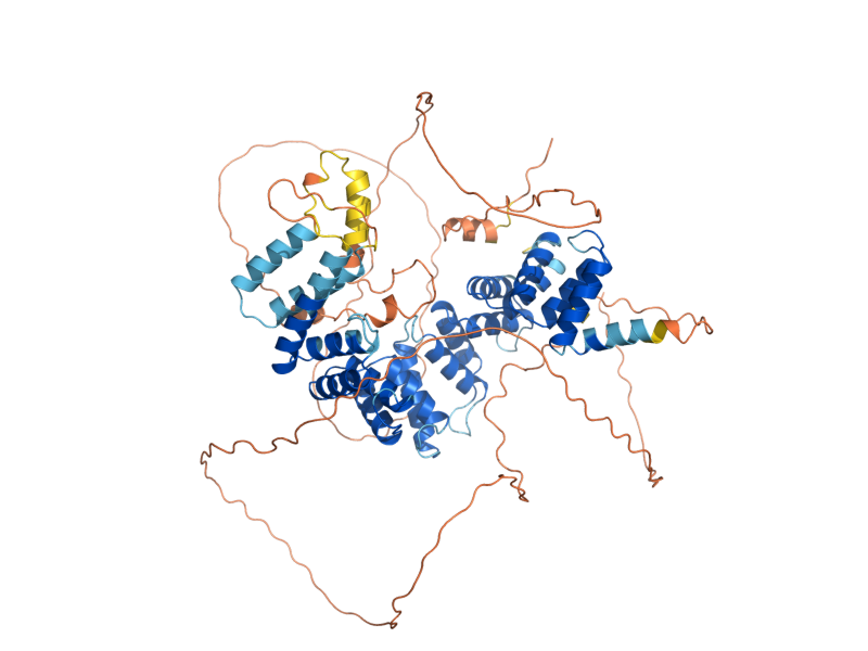 AlphaFold predicted structure of SKT5