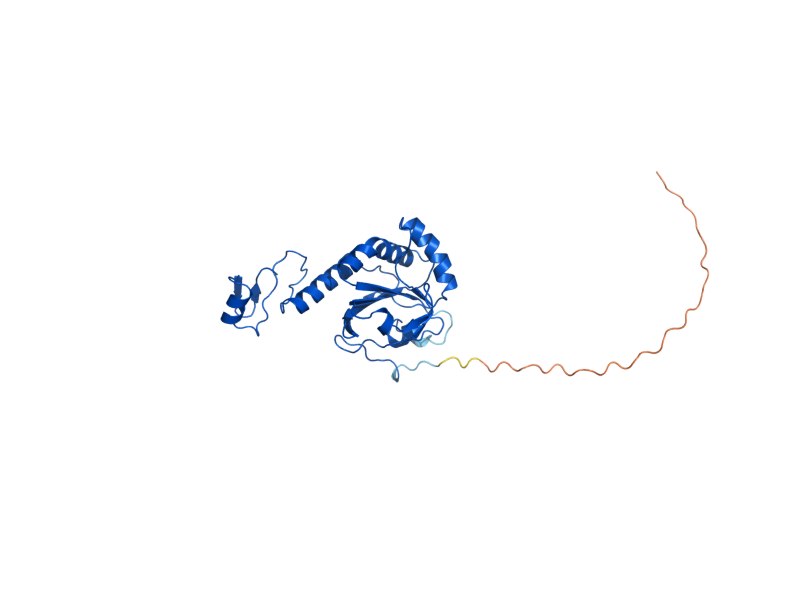AlphaFold predicted structure of PRX1