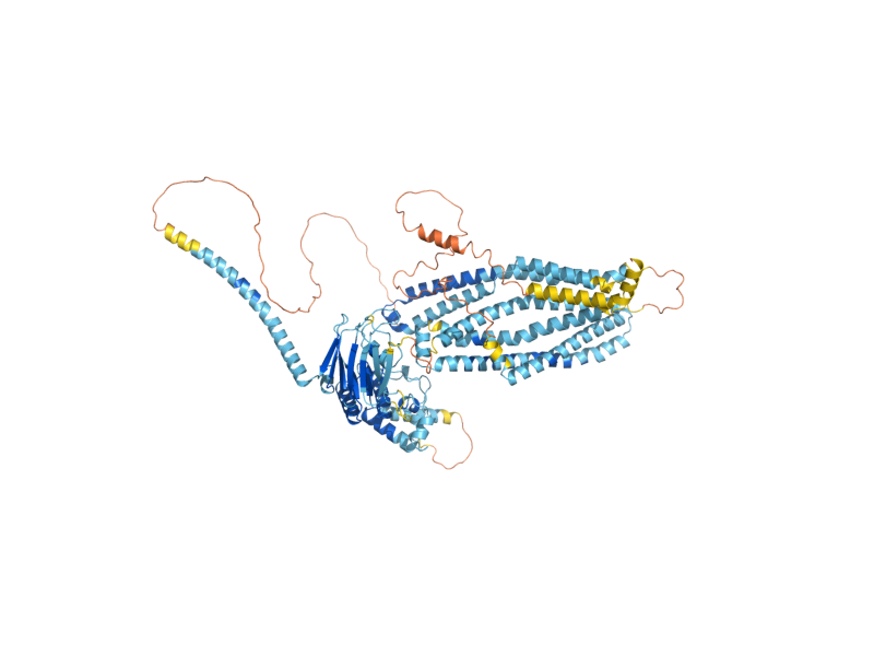 AlphaFold predicted structure of PXA2