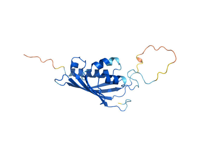 AlphaFold predicted structure of MTR2