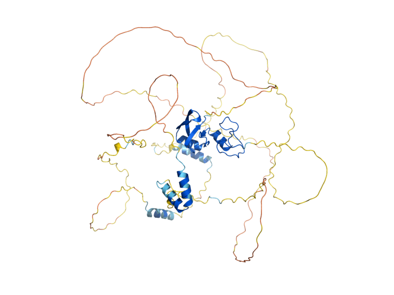 AlphaFold predicted structure of ASH1