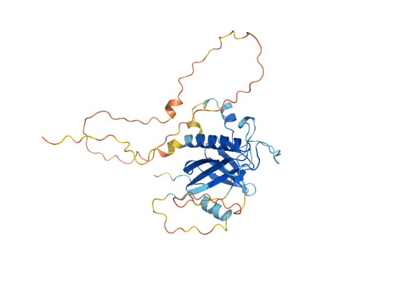 AlphaFold predicted structure of LOT5
