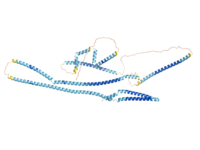 AlphaFold predicted structure of COY1