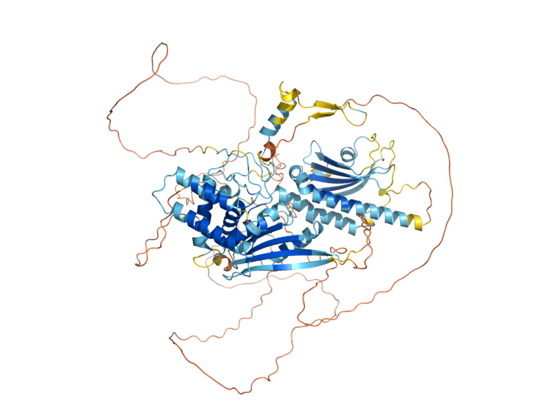 AlphaFold predicted structure of LST4