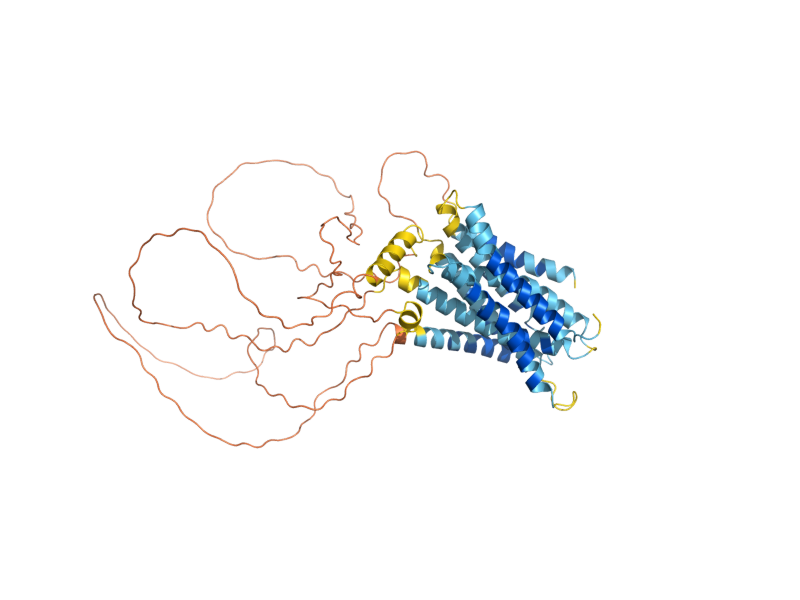 AlphaFold predicted structure of ZRT3
