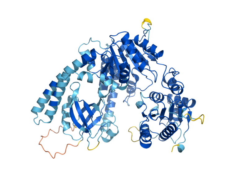 AlphaFold predicted structure of HCS1