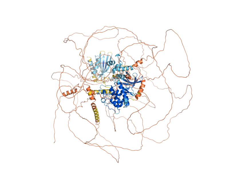 AlphaFold predicted structure of HSL1