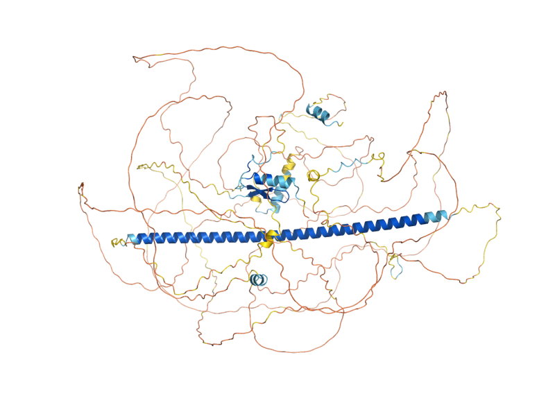 AlphaFold predicted structure of SEG2