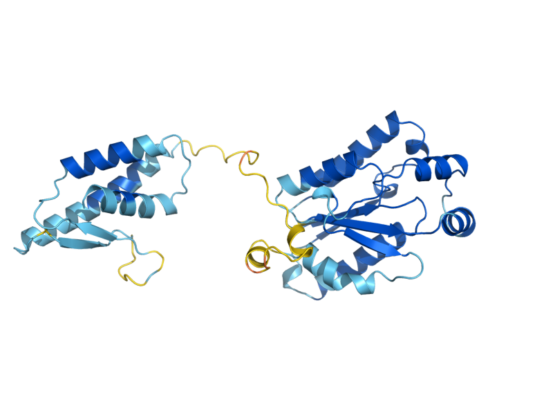 AlphaFold predicted structure of KTI12