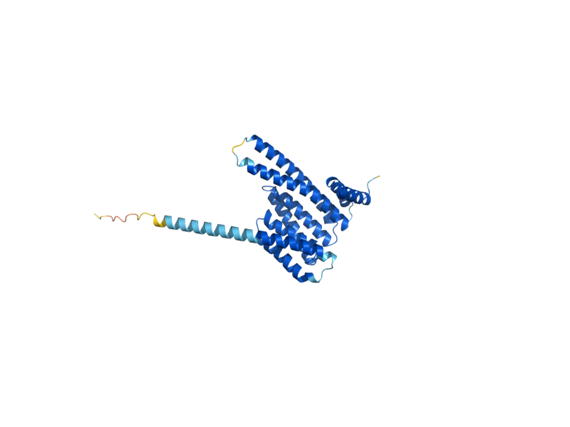 AlphaFold predicted structure of BMH2