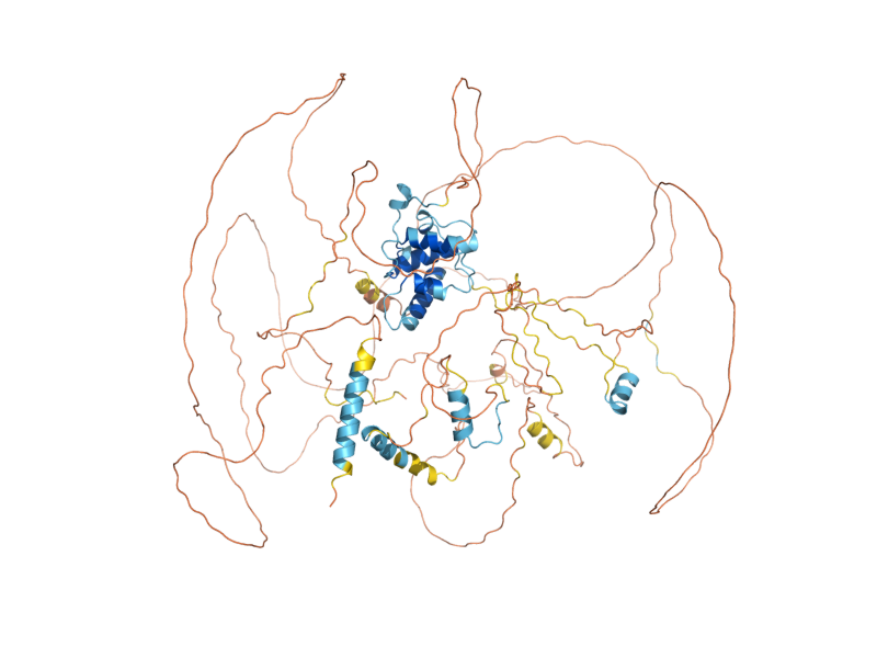 AlphaFold predicted structure of SCD5