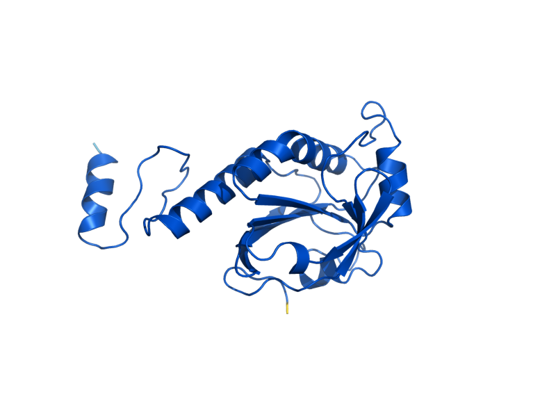 AlphaFold predicted structure of TSA1