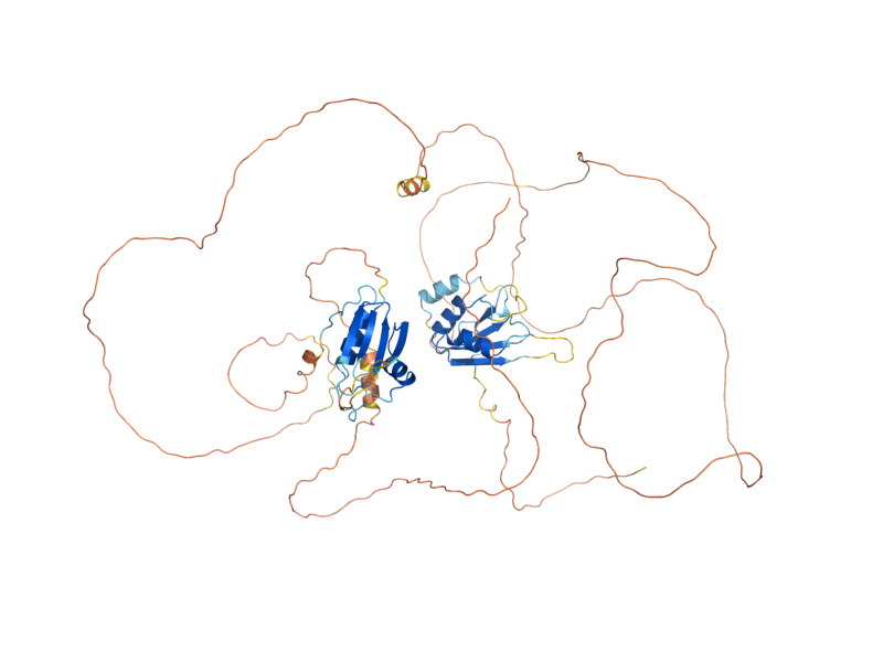 AlphaFold predicted structure of WHI3