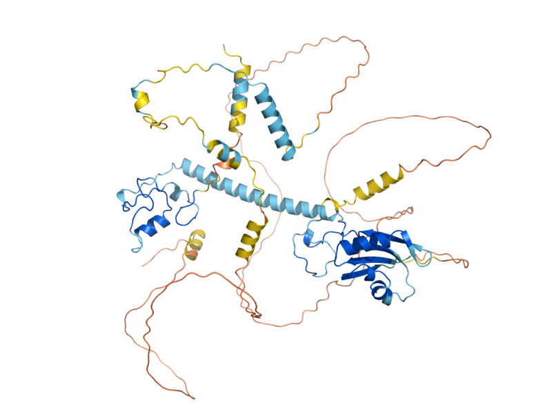 AlphaFold predicted structure of MOT2