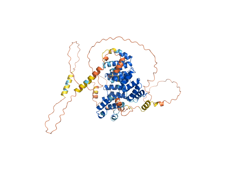 AlphaFold predicted structure of PEX5