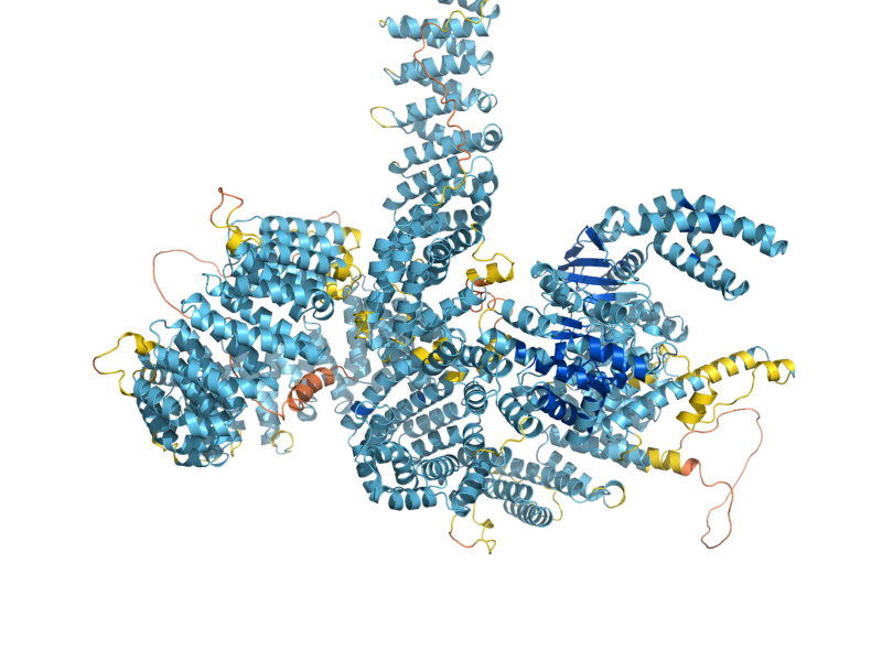 AlphaFold predicted structure of TOR1