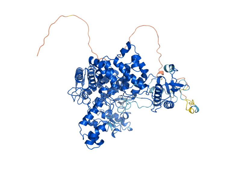 AlphaFold predicted structure of NTH2