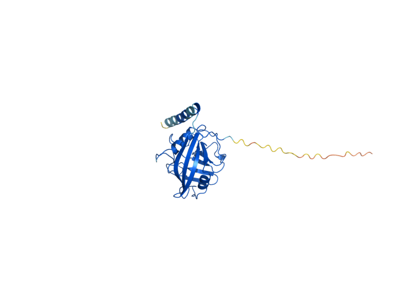 AlphaFold predicted structure of CPR5