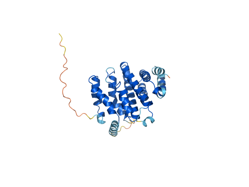 AlphaFold predicted structure of RRP1