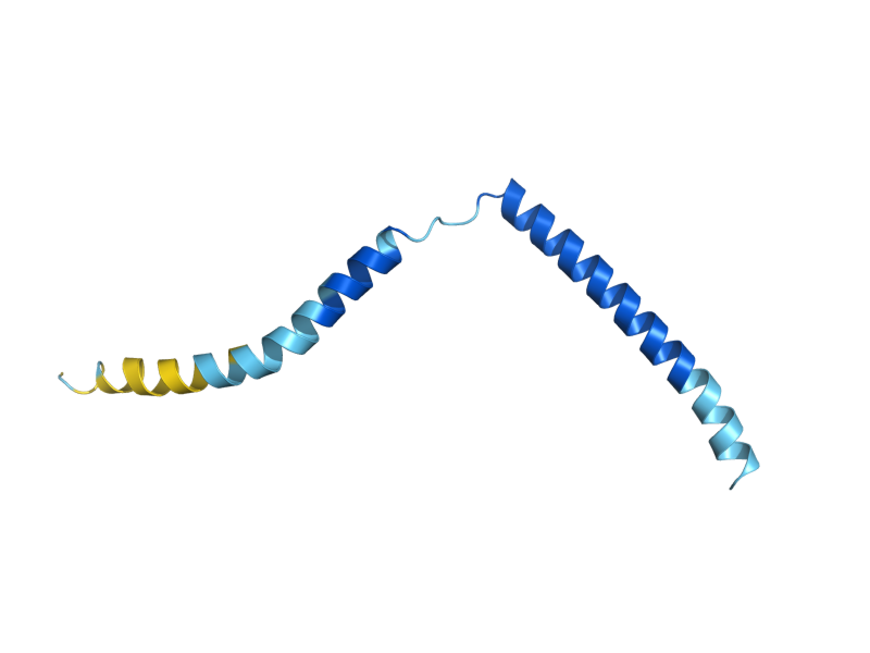 AlphaFold predicted structure of SSS1