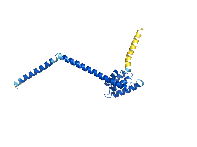 AlphaFold predicted structure of TOM20