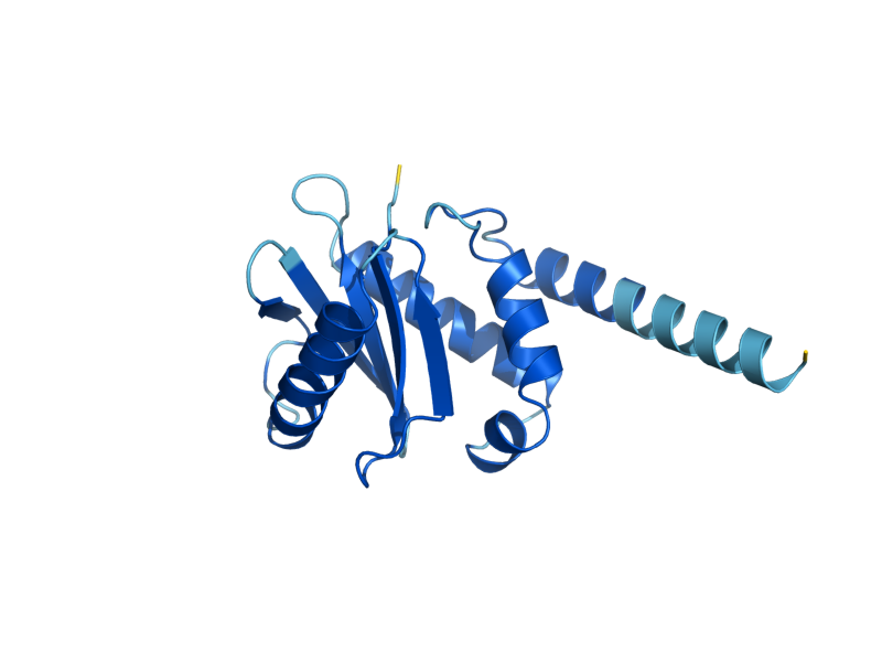 AlphaFold predicted structure of APS1
