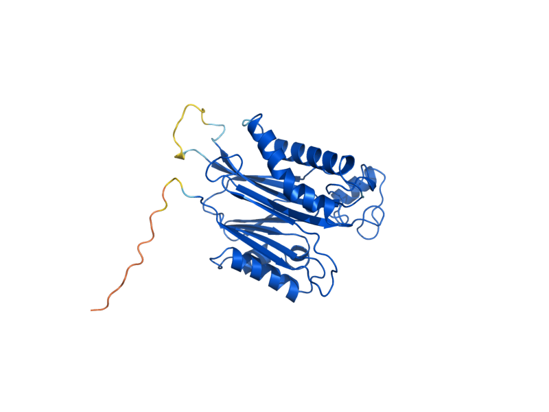 AlphaFold predicted structure of PTC1