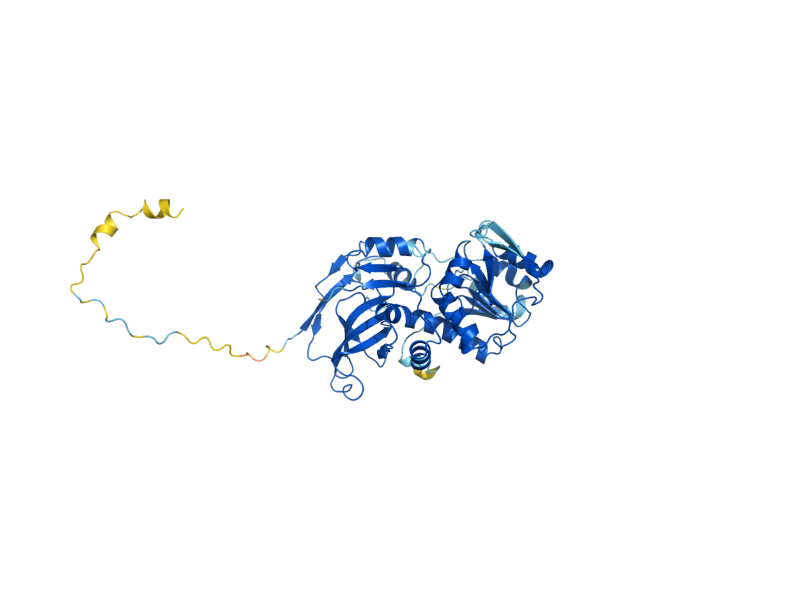 AlphaFold predicted structure of AST1