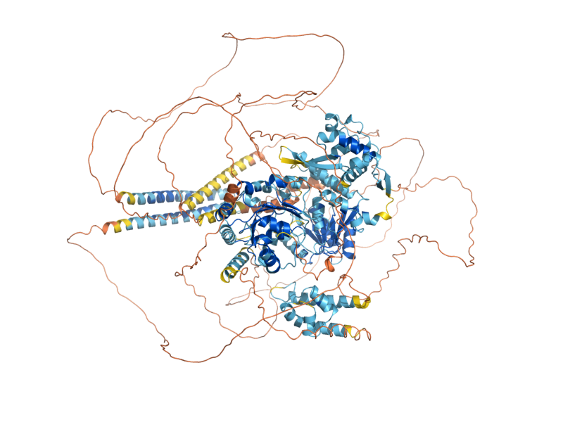 AlphaFold predicted structure of SGS1