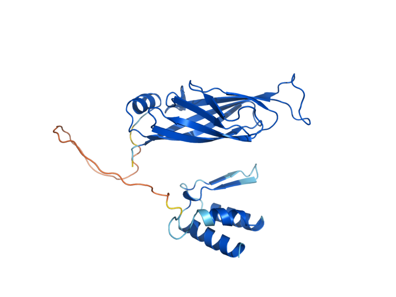 AlphaFold predicted structure of TAF14