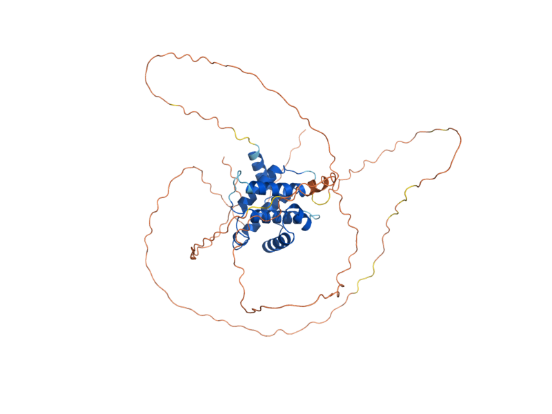 AlphaFold predicted structure of CLG1