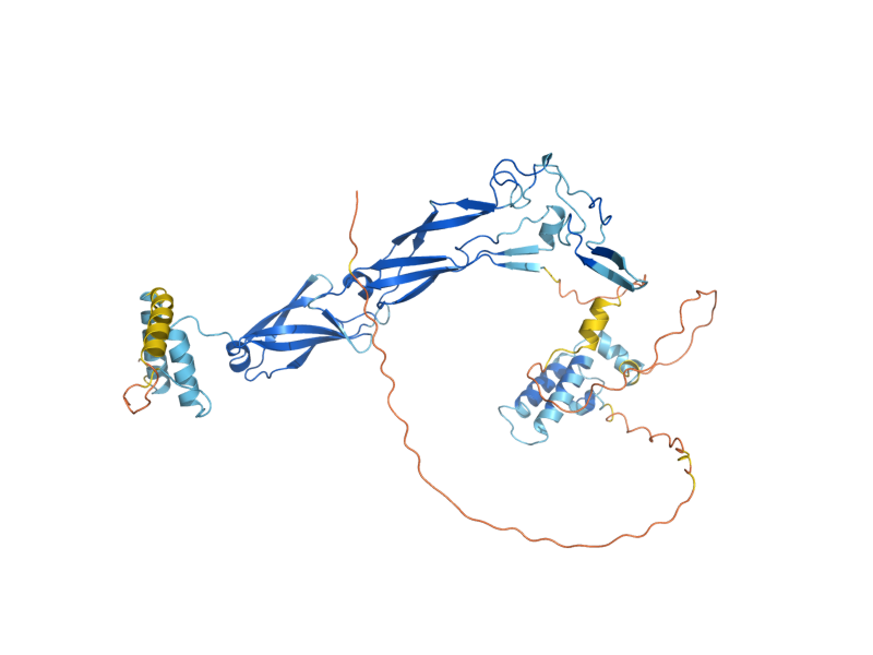 AlphaFold predicted structure of MDJ1