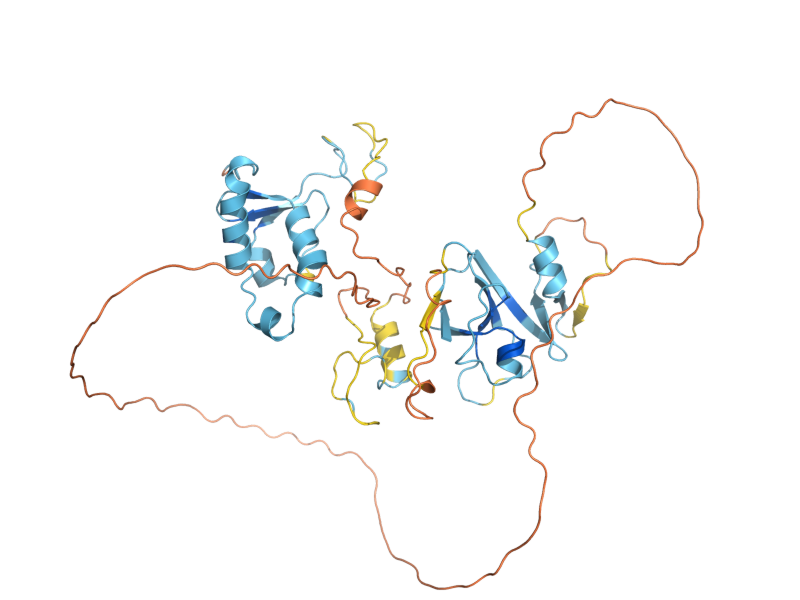 AlphaFold predicted structure of MAC1