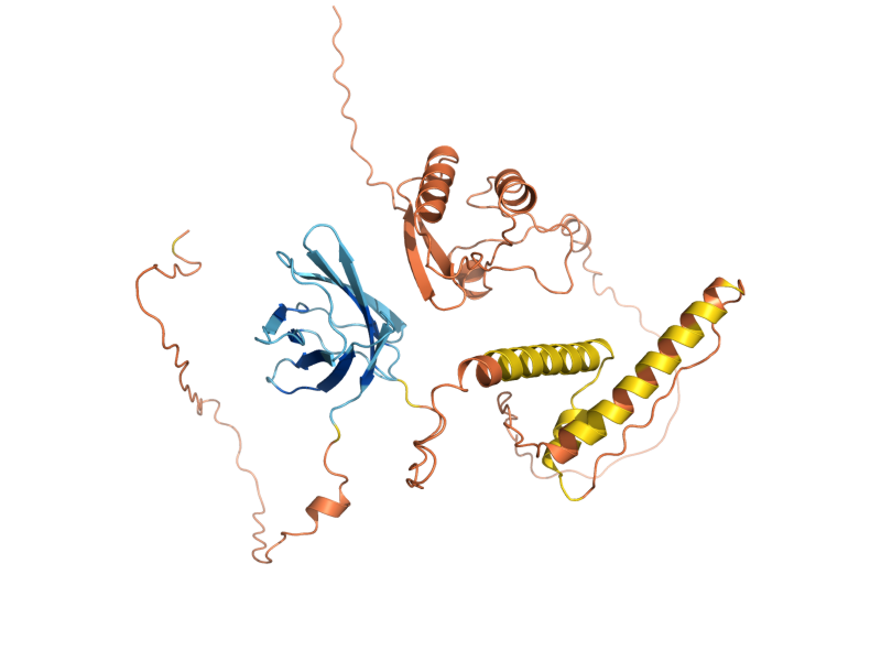 AlphaFold predicted structure of ATG19