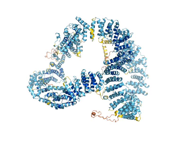 AlphaFold predicted structure of UTP20
