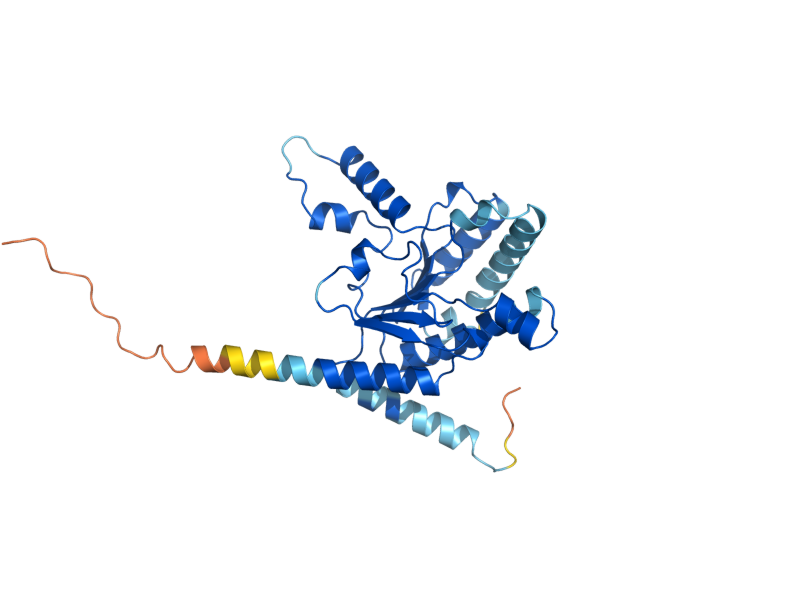 AlphaFold predicted structure of RER2