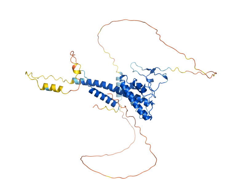 AlphaFold predicted structure of MTH1
