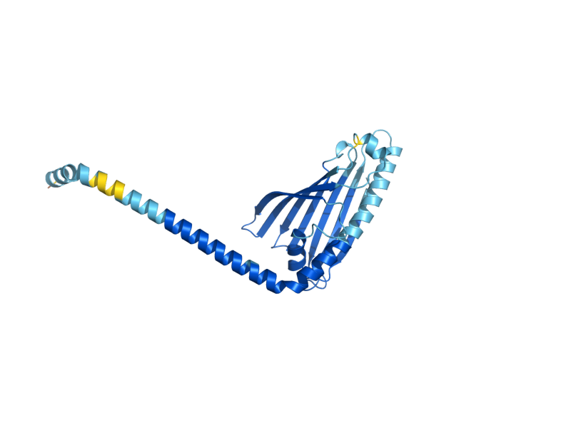 AlphaFold predicted structure of UPS2