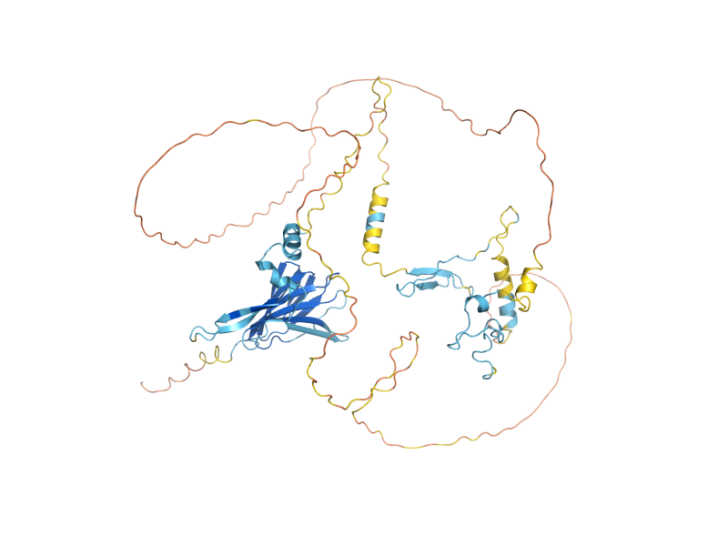 AlphaFold predicted structure of MIF2