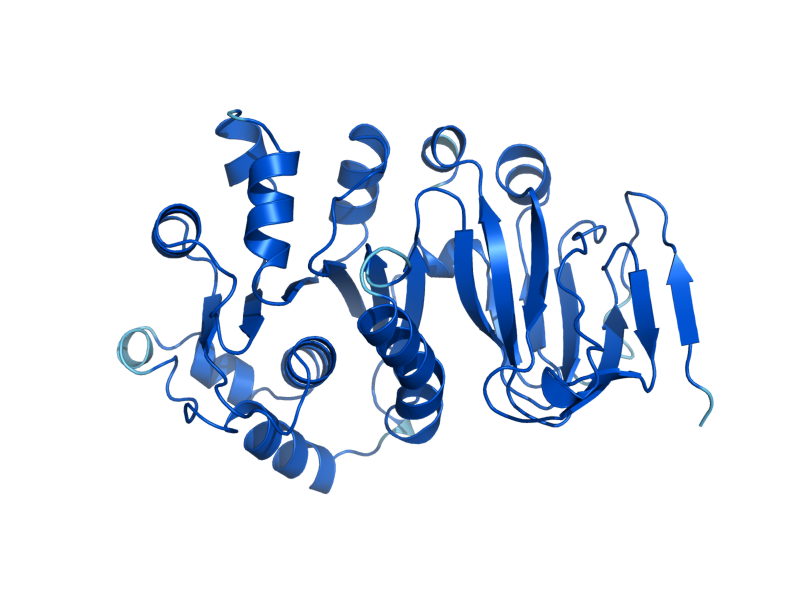AlphaFold predicted structure of THI80