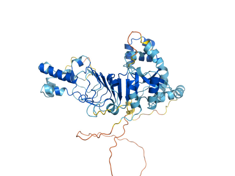 AlphaFold predicted structure of CTF13