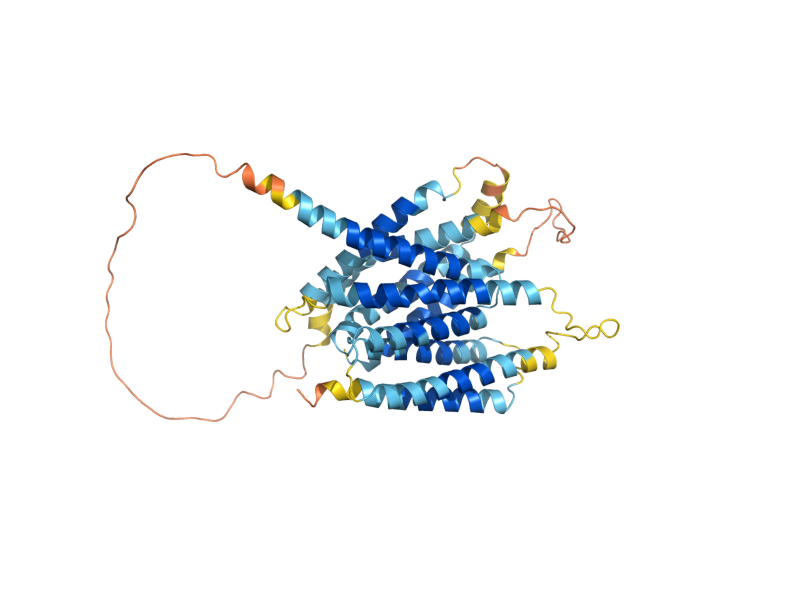AlphaFold predicted structure of CSG2