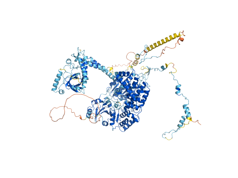 AlphaFold predicted structure of SKI2