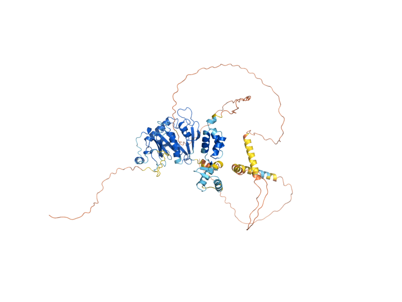 AlphaFold predicted structure of SPT10