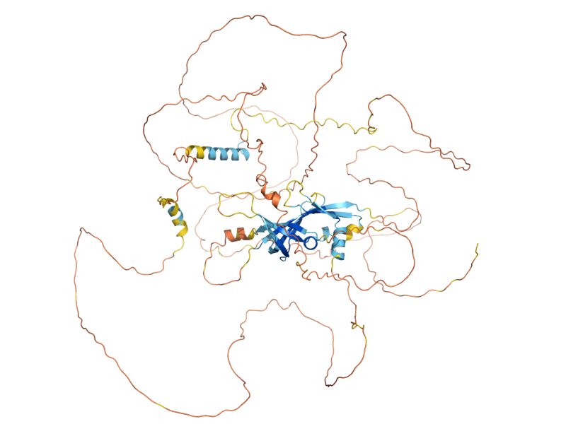AlphaFold predicted structure of SPT21