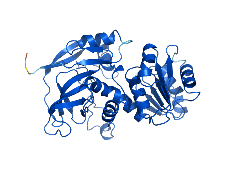 AlphaFold predicted structure of SOR1